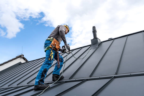Best Metal Roofing Installation  in Columbia Heights, MN